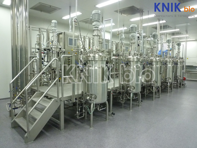 40-liters-800-liters-6-sets-of-pneumococcal-vaccine-fermentation-tank-bioreactor-system-41.jpg